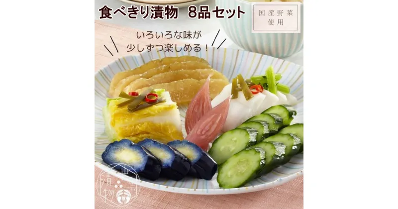 【ふるさと納税】食べきり漬物 8品 セット | 手づくり 漬け物 漬物 浅漬 粕漬 つけもの 野菜 やさい 料理 お土産