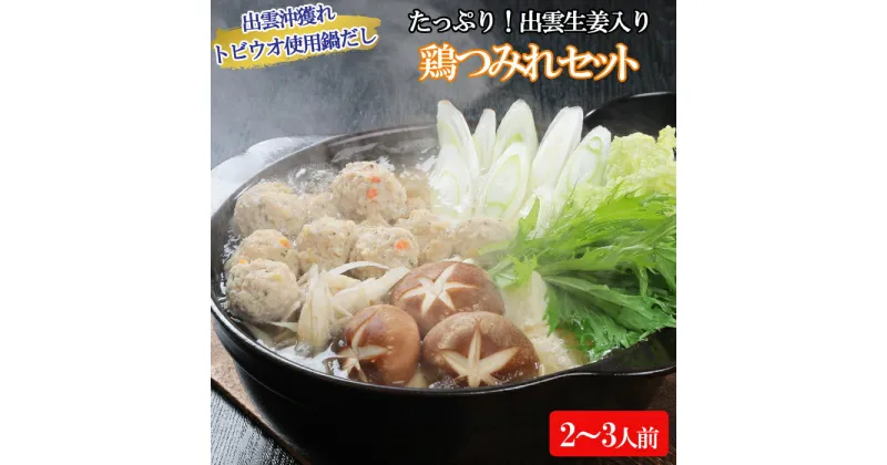 【ふるさと納税】【鍋だし付】鶏肉 つみれ 400g (200g×2パック）| お鍋 鳥肉 とり 肉 お肉 出汁 飛魚 あご お取り寄せ グルメ 人気 おすすめ 夕食 料理 調理 島根県 出雲市