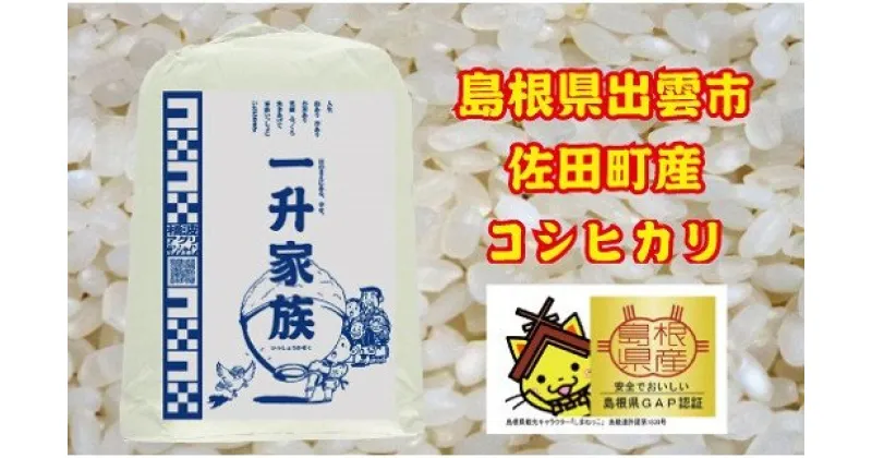 【ふるさと納税】新米予約 出雲市佐田町産コシヒカリ 「一升家族」（白米5.5kg） | 2024年産 1回 3回 定期便 お米 米 こめ 島根県 出雲市