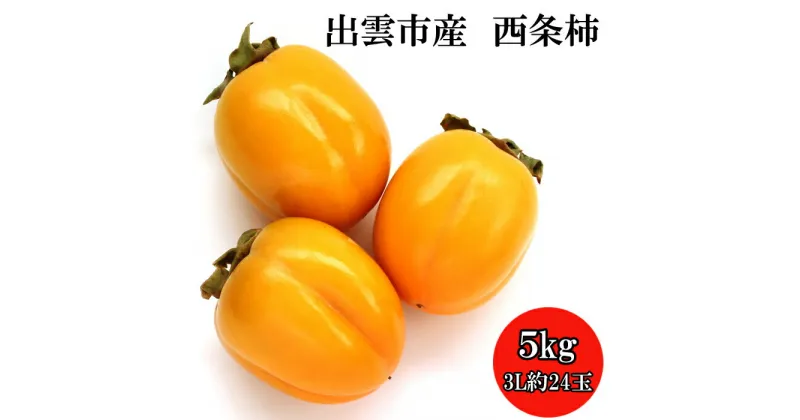 【ふるさと納税】出雲市産西条柿 5kg（3L 約24玉）