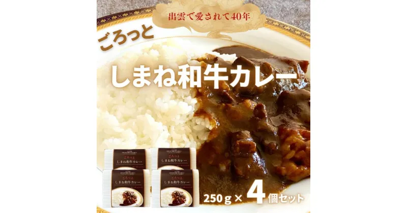 【ふるさと納税】ごろっとしまね和牛カレー　4食セット　ご当地カレー島根 お取り寄せ 牛肉 時短 冷凍食品 ディナー ごちそう