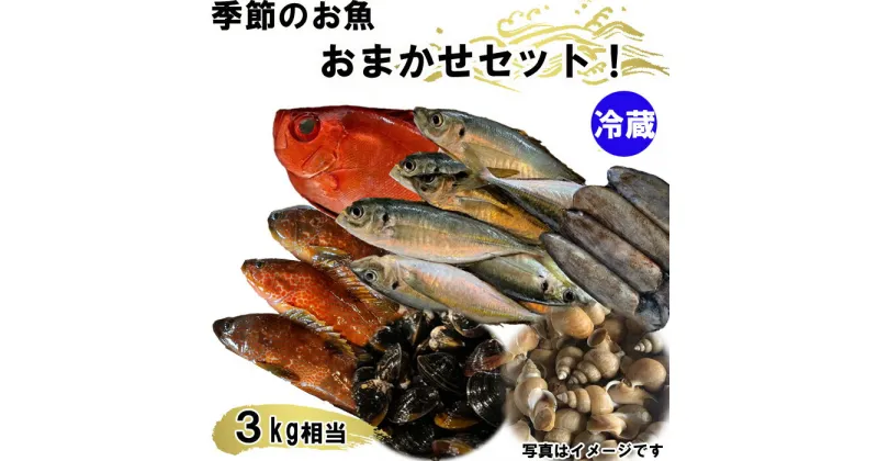 【ふるさと納税】【緊急支援品】季節のおさかなおまかせセット　3kg相当 鮮魚 魚介 冷蔵 新鮮 旬 島根県 出雲市