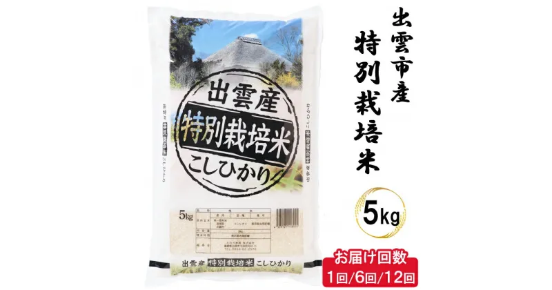 【ふるさと納税】特別栽培米 出雲市産コシヒカリ 5kg　減農薬 2023年 令和5年産 単品　6回 12回 定期便 お米 こしひかり