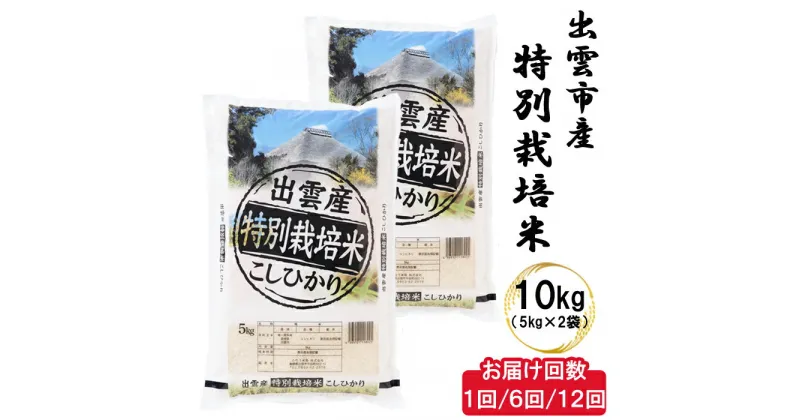 【ふるさと納税】特別栽培米 出雲市産コシヒカリ 10kg　減農薬 2023年 令和5年産 単品　6回 12回 定期便 お米 こしひかり