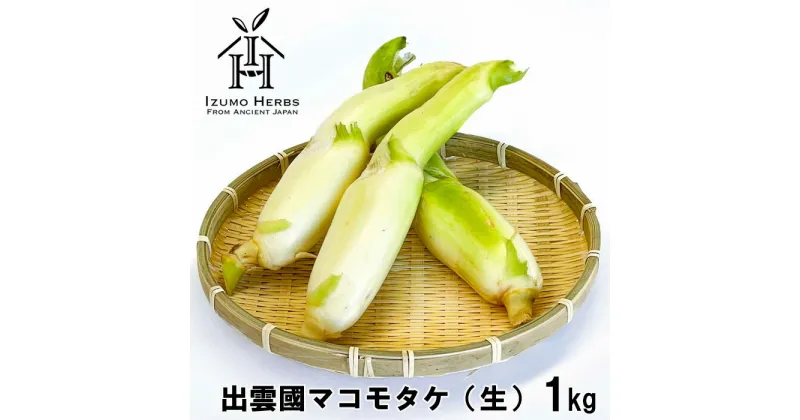 【ふるさと納税】出雲國 マコモタケ（生）1kg 出雲市産 | 数量限定 まこも 野菜 やさい 冷蔵 お取り寄せ ご当地 調理 料理