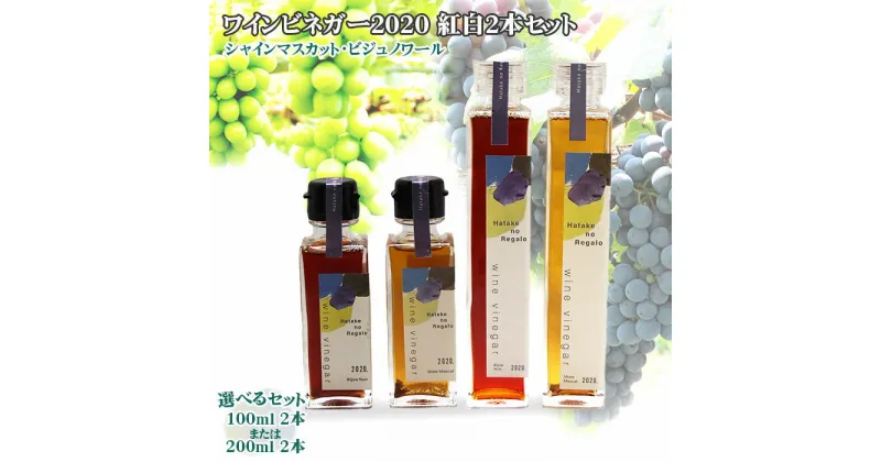 【ふるさと納税】ワインビネガー 2020年 紅白2本セット(シャインマスカット・ビジュノワール）100ml 200ml| wine 酢 お酢 詰め合わせ 詰合せ 高級 葡萄 ぶどう 人気 おすすめ お取り寄せ 調味料 化粧箱 ギフト 贈答 プレゼント 島根県 出雲市