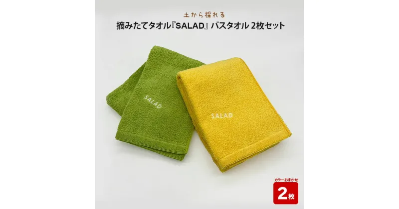 【ふるさと納税】土から採れる 摘みたてタオル『SALAD』バスタオル 2枚セット | 清潔 抗菌 高吸水 ホルマリンフリー 非APEO ハロゲン化物質（塩素/臭素）不使用 アゾ系染料不使用 アンチモンフリー ギフト プレゼント 日本製 国産 島根県 出雲市