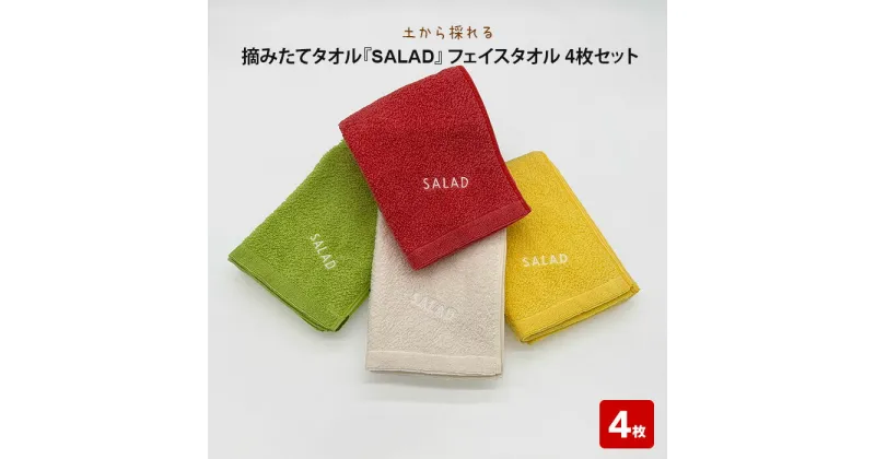 【ふるさと納税】土から採れる 摘みたてタオル『SALAD』フェイスタオル 4枚セット | 清潔 抗菌 高吸水 ホルマリンフリー 非APEO ハロゲン化物質（塩素/臭素）不使用 アゾ系染料不使用 アンチモンフリー ギフト プレゼント 日本製 国産 島根県 出雲市