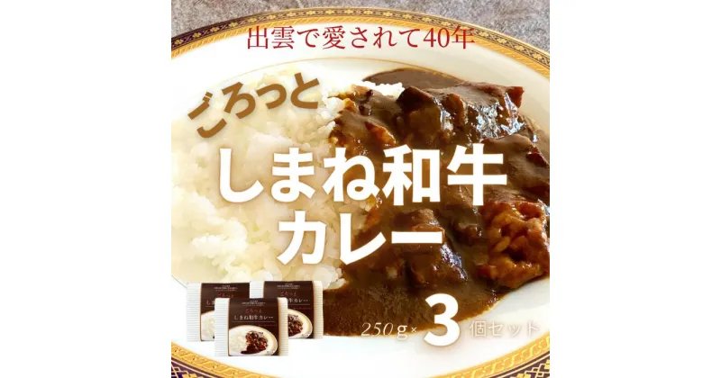 【ふるさと納税】ごろっと しまね和牛カレー3食セット 冷凍 黒毛和牛 お惣菜 手造り レストラン ディナー 本格派 レストラン 真空パック