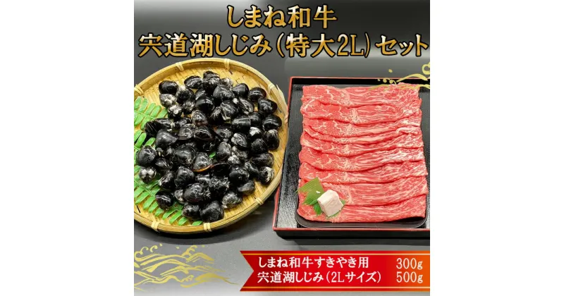 【ふるさと納税】しまね和牛肉・宍道湖しじみ（特大2Lサイズ）セット | 肉 お肉 にく すき焼 すきやき 島根和牛 シジミ ギフト お取り寄せ 特産品 グルメ 人気 おすすめ 島根県 出雲市