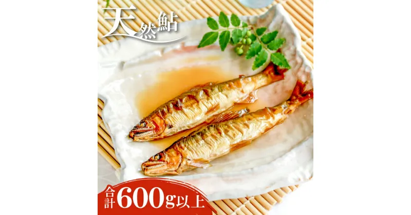 【ふるさと納税】 天然鮎 600g 200g×3 魚介類 魚 アユ 天然 CAS冷凍 高津川 塩焼き みそ焼き 天ぷら 鮎飯 季節限定 冷凍 特産品 お取り寄せ グルメ