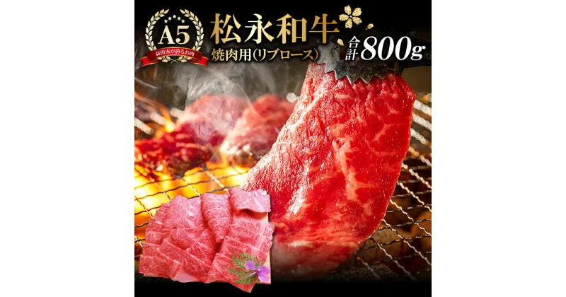 【ふるさと納税】 松永和牛 A5ランク 焼肉用 リブロース 800g 肉 牛肉 黒毛和牛 ブランド牛 最高級 贅沢 冷凍 特産品 お取り寄せ グルメ お祝い ご褒美 贅沢 特別な日 ご馳走 焼肉 パーティー セット 松永牧場