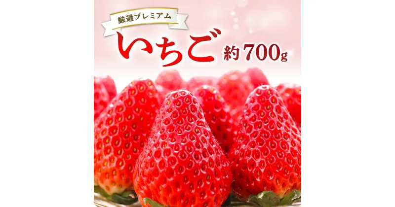 【ふるさと納税】 先行予約 いちご 350g×2パック 果物 フルーツ 苺 厳選 プレミアム 甘い やみつき 期間限定 季節限定 早期予約 2025年1月〜2月末発送 冷蔵 特産品 お取り寄せ グルメ