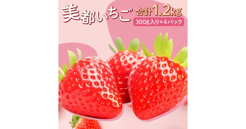 【ふるさと納税】 先行予約 美都いちご 300g×4パック 果物 フルーツ 苺 かおりの 紅ほっぺ 期間限定 季節限定 早期予約 冷蔵 特産品 お取り寄せ グルメ