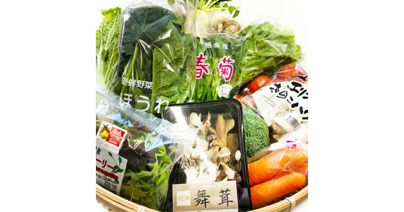 【ふるさと納税】 定期便 3回コース 新鮮 野菜セット 12品目以上×3回 野菜 旬の野菜 季節の野菜 おまかせ お楽しみ 定期 冷蔵 特産品 お取り寄せ グルメ