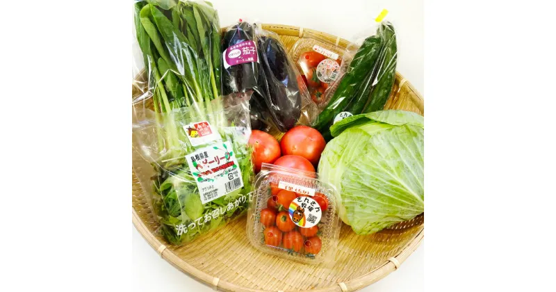 【ふるさと納税】 新鮮 野菜 8品目以上 詰め合わせ セット 野菜 旬の野菜 おまかせ お楽しみ 冷蔵 特産品 お取り寄せ グルメ