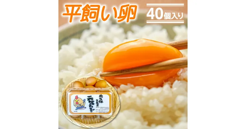 【ふるさと納税】 卵 平飼い 40個 たまご とれたて 破損保証8個 抗生物質不使用 安心 安全 新鮮 ご飯 卵かけごはん 卵焼き 目玉焼き だし巻き卵 冷蔵 常温 特産品 お取り寄せ グルメ