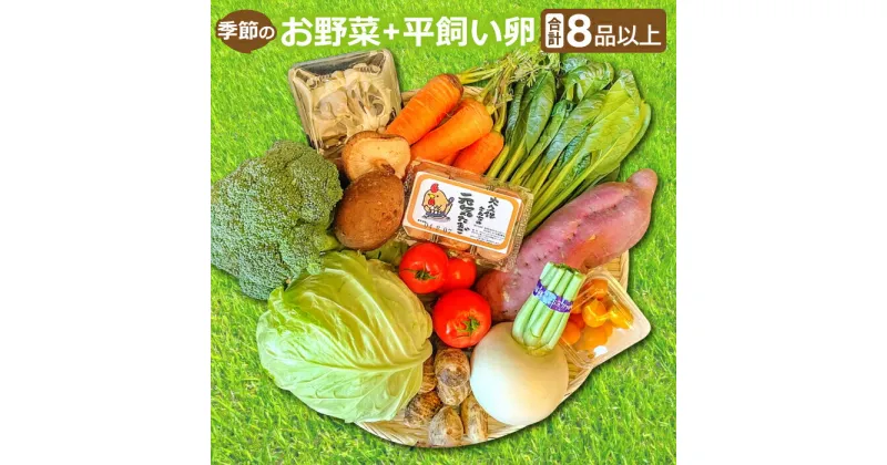 【ふるさと納税】 季節のお野菜 8〜10品 平飼い卵 6個 詰め合わせ セット 野菜 減農薬 減化学肥料 キャベツ 小松菜 高菜 里芋 大根 人参 エリンギ 椎茸 トマト きゅうり ナス たまご 破損保証 2個 特産品 お取り寄せ グルメ