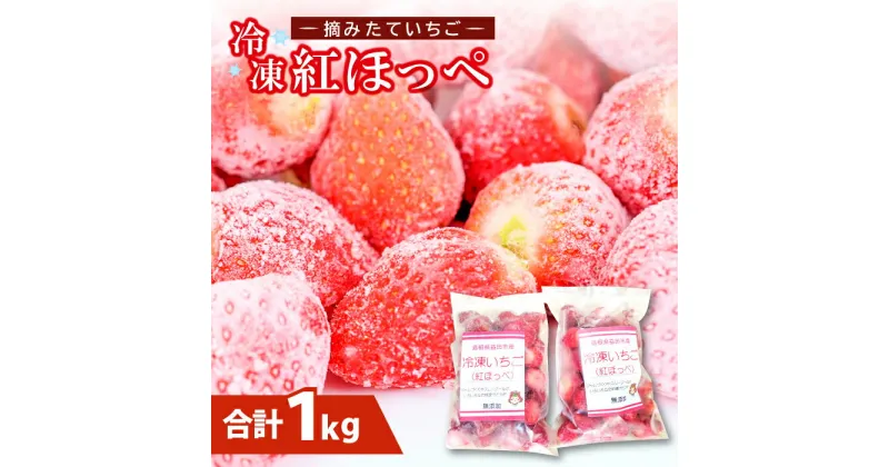 【ふるさと納税】 冷凍いちご 500g×2袋 果物 フルーツ デザート お菓子作り 苺 紅ほっぺ ジャム スムージー 冷凍 特産品 お取り寄せ グルメ