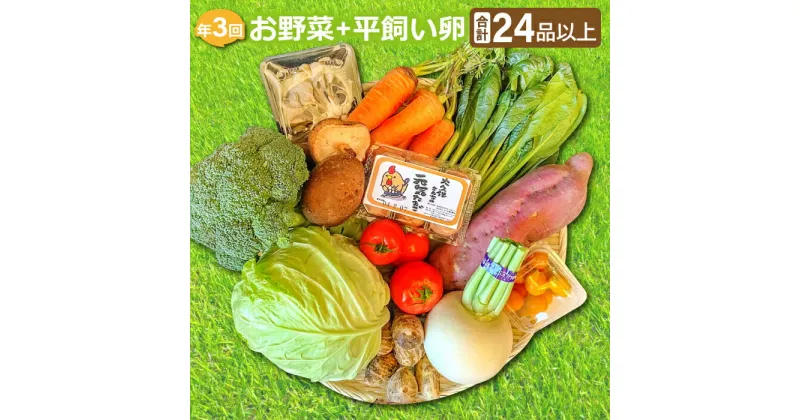 【ふるさと納税】 【定期便】季節のお野菜 8〜10品 平飼い卵 6個 詰め合わせ セット 野菜 減農薬 減化学肥料 やさい 旬の野菜 野菜セット 季節の野菜 定期便 3回 3ヶ月 コース 卵 たまご 破損保証 2個 特産品 お取り寄せ グルメ 野菜定期 定期 全3回