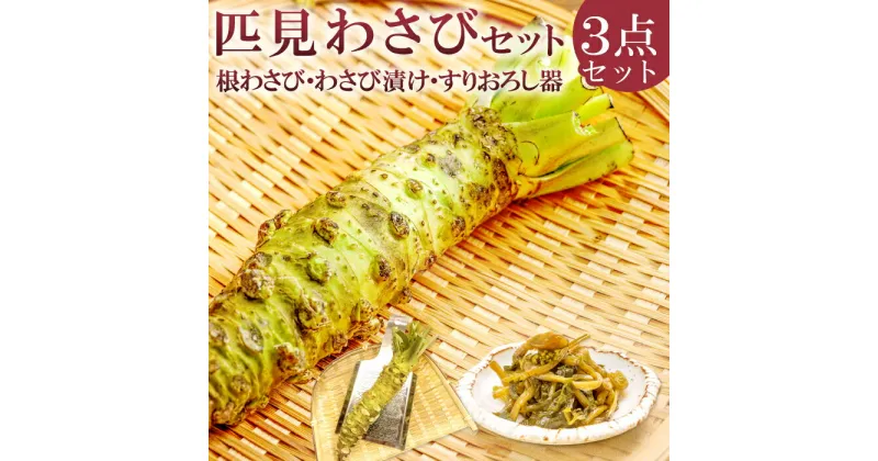 【ふるさと納税】 わさびセット 根わさび 2本 わさび漬け 1本 すりおろし器 1個 野菜 やさい 山葵 粘り 辛味 甘み 手作業 加工食品 ご飯のお供 酒のつまみ 日用品 ステンレス製 詰め合わせ 冷蔵 特産品 お取り寄せ グルメ