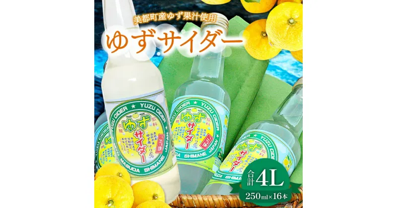 【ふるさと納税】 ゆずサイダー 250ml×16本 飲料類 炭酸飲料 ジュース サイダー ご当地サイダー 柚子果汁 果物 柚子 特産品 お取り寄せ