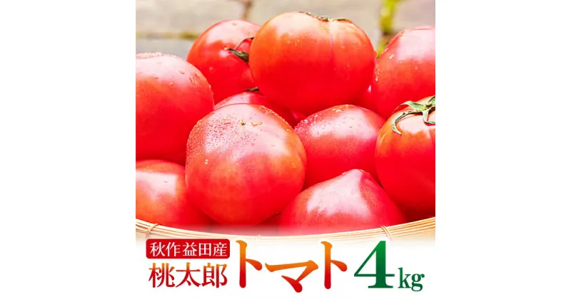 【ふるさと納税】 先行予約 秋作 朝採れ トマト 4kg 20玉前後 野菜 桃太郎トマト とまと 旬 早期予約 季節限定 期間限定