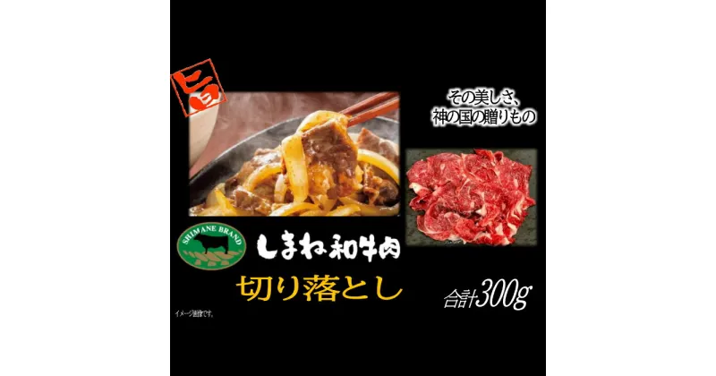 【ふるさと納税】 しまね和牛 切落し 300g 島根和牛 国産 和牛 切り落とし にく すきやき すき焼き 炒め物 ご褒美 贅沢 特別