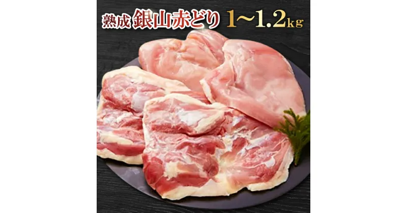 【ふるさと納税】 【熟成】 地鶏 銀山赤鶏 精肉 まるごと 1羽分 約1kg〜1.2kg 肉 鶏 鶏肉 地どり 赤鶏 国産 島根県産 大田市 こだわり 長期飼育 無薬 からあげ 照り焼き チキン南蛮 親子丼 焼き鳥 バーベキュー BBQ 冷凍 真空 特産品 お取り寄せ グルメ