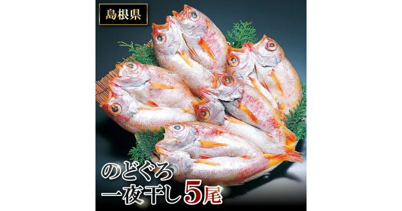 【ふるさと納税】 干物 のどぐろ 5尾 1尾あたり 約121g〜140g のどぐろ一夜干 人気 魚介類 魚 高級魚 ノドグロ アカムツ 白身魚 トロ 贅沢 冷凍 真空 特産品 お取り寄せ 自宅用 家庭用 贈答用 贈答 ギフト プレゼント 父の日 母の日 グルメ