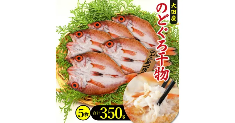 【ふるさと納税】 干物 のどぐろ 一夜干し 5枚 350g 国産 人気 魚介類 魚 高級魚 ノドグロ アカムツ 白身魚 トロ 贅沢 素焼き 低塩熟成 低塩 うす塩 天日塩 化学調味料不使用 着色料不使用 無添加 冷凍 真空 産地直送 特産品 お取り寄せ 贈答 父の日 母の日