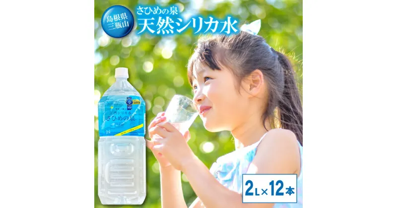 【ふるさと納税】 水 ミネラルウォーター さひめの泉 2L×6本×2ケース 国産 島根県産 大田市 三瓶山 最高品質 天然水 鉱水 軟水 ナチュラルミネラルウォーター シリカ水 シリカ ペットボトル 美容 ミネラル 非常災害備蓄用 非常用 防災グッズ 備蓄 特産品 お取り寄せ