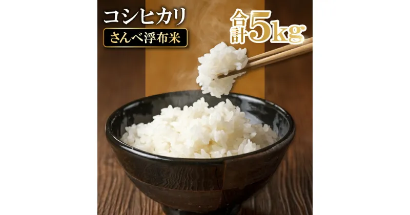 【ふるさと納税】 先行予約 令和6年産 コシヒカリ 無洗米 5kg 新米 こしひかり 5kg 令和6年度産 特別栽培米 さんべ浮布米 国産 島根県産 大田市産 お米 2024年産 減化学肥料 減農薬 JGAP認証 ごはん お弁当 おにぎり おむすび 特産品 お取り寄せ グルメ