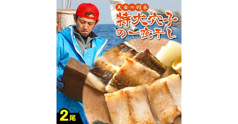 【ふるさと納税】 特大 肉厚 干物 あなご 一夜干 50cm前後 2尾 国産 魚介類 魚 穴子 アナゴ 低塩熟成 低塩 うす塩 天日塩 化学調味料不使用 着色料不使用 無添加 天日塩 冷凍 真空 特産品 お取り寄せ グルメ 贈答 ギフト プレゼント 父の日 母の日