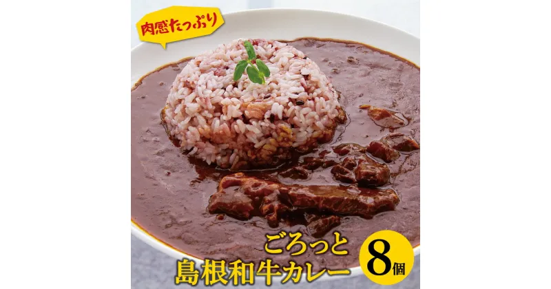 【ふるさと納税】 島根和牛 カレー 8個 1食 220g レトルト食品 レトルトカレー レトルト 手軽 簡単 ビーフカレー 中辛 肉 和牛 しまね和牛 詰め合わせ セット 保存食 備蓄用 災害備蓄 島根県 大田市