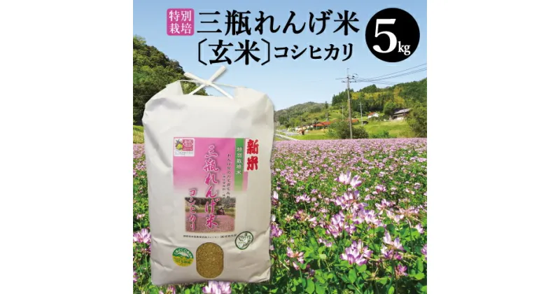 【ふるさと納税】 令和6年産 特別栽培米 三瓶れんげ米 コシヒカリ 玄米 5kg 国産 米 100% 無化学窒素肥料 減農薬 エコロジー米 美味しまね認証 安心 安全 2024年産 令和6年度産 環境保全型農業 れんげ草 ダイエット 健康 特産品 お取り寄せ