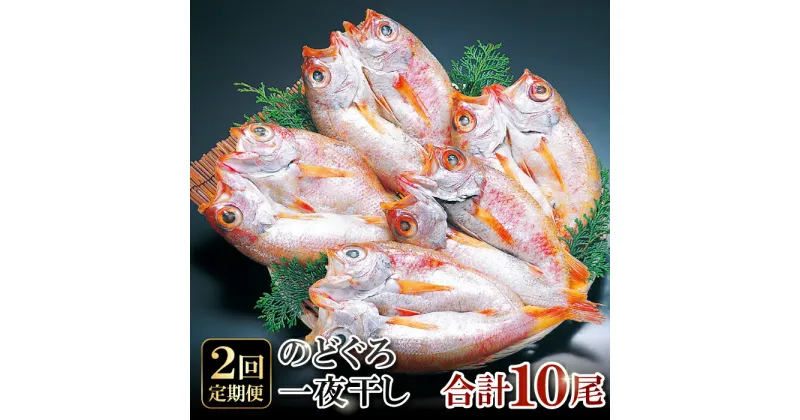 【ふるさと納税】 定期便 のどぐろ 干物 5尾 2回 合計10尾 1尾：141g〜160g 魚介類 魚貝類 ノドグロ 一夜干し のどぐろ干物 新鮮 高級魚 贅沢 冷凍 セット 詰め合わせ 贈答 お歳暮 国産 島根県 大田市