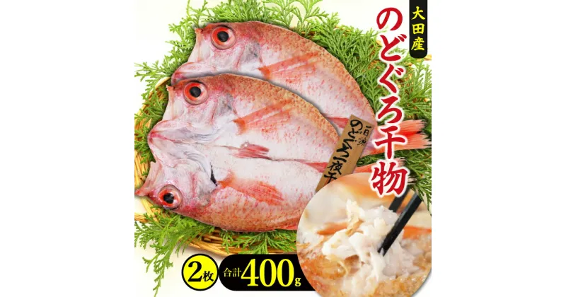 【ふるさと納税】 干物 特大 のどぐろ 一夜干し 2枚 400g 天日塩 国産 人気 魚介類 魚 高級魚 ノドグロ アカムツ 白身魚 トロ 贅沢 素焼き 冷凍 真空 産地直送 特産品 お取り寄せ グルメ 贈答 ギフト プレゼント 父の日 母の日