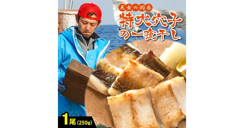 【ふるさと納税】 あなご 特大一夜干 天女の羽衣アナゴ 国産 穴子 干物 1尾 250g 1枚 低塩熟成 低塩 うす塩 天日塩 化学調味料不使用 着色料不使用 無添加 天ぷら ちらし寿司 蒲焼き 素焼き 冷凍 真空 特産品 お取り寄せ 贈答 ギフト 父の日 母の日 天然