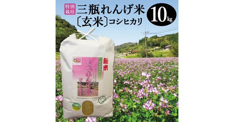 【ふるさと納税】令和6年産 特別栽培米 三瓶れんげ米 コシヒカリ 玄米 10kg 国産 米 玄米 100% 無化学窒素肥料 減農薬 エコロジー米 美味しまね認証 安心 安全 環境保全型農業 令和6年度産 2024年産 れんげ草 ダイエット 健康 特産品 お取り寄せ