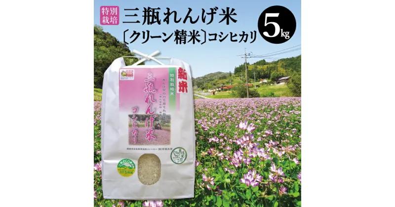 【ふるさと納税】 令和6年産 特別栽培米 三瓶れんげ米 コシヒカリ クリーン精米 5kg 国産 米 精米 100% 無化学窒素肥料 減農薬 エコロジー米 美味しまね認証 安心 安全 こしひかり 令和6年度産 2024年産 環境保全型農業 れんげ草 特産品 お取り寄せ