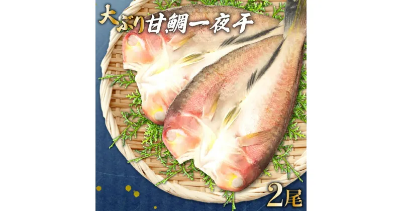 【ふるさと納税】 甘鯛一夜干し (2尾) 干物 あまだい ぐじ 大ぶり 旬 おつまみ 酒の肴 素焼き 唐揚げ 鯛 アマダイ 魚介 魚貝 一日漁 父の日 母の日