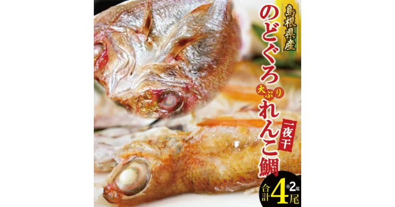 【ふるさと納税】 干物 のどぐろ 71g〜85g×2枚 大ぶり れんこ鯛 161g〜180g×2枚 合計4枚 一夜干し 国産 人気 魚介類 魚 高級魚 ノドグロ アカムツ レンコ鯛 白身魚 トロ 贅沢 素焼き 冷凍 真空 産地直送 特産品 お取り寄せ グルメ 贈答 ギフト プレゼント 父の日 母の日