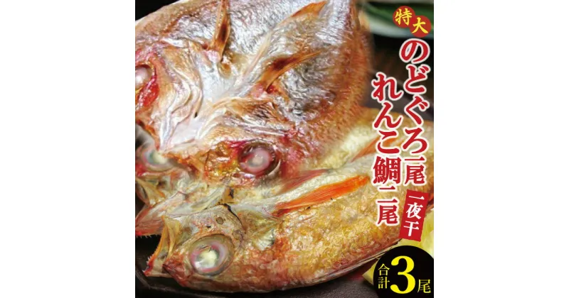 【ふるさと納税】 干物 特大 のどぐろ 261g〜290g×1枚 れんこ鯛 161g〜180g×2枚 合計3枚 一夜干し 国産 人気 魚介類 魚 高級魚 ノドグロ アカムツ レンコ鯛 白身魚 トロ 贅沢 素焼き 冷凍 真空 産地直送 特産品 お取り寄せ グルメ 贈答 ギフト プレゼント 父の日 母の日