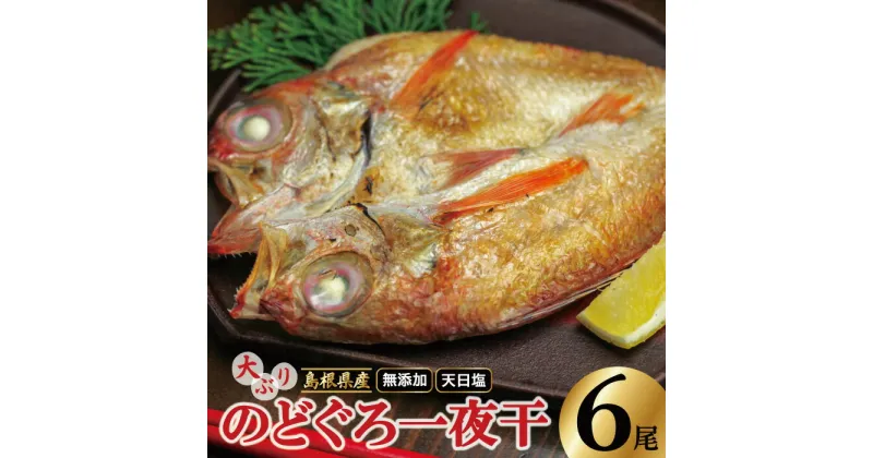 【ふるさと納税】 干物 大ぶり のどぐろ 176g～200g×6尾 のどぐろ一夜干 国産 人気 魚介類 魚 高級魚 ノドグロ アカムツ 白身魚 トロ 贅沢 冷凍 真空 産地直送 特産品 お取り寄せ グルメ 父の日 母の日