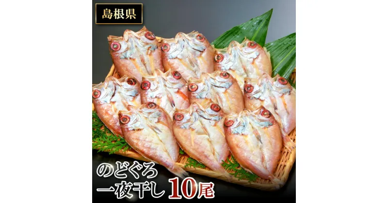 【ふるさと納税】 干物 のどぐろ 10尾 1尾あたり 約60g〜80g　合計約600g〜800g のどぐろ一夜干 人気 魚介類 魚 高級魚 ノドグロ アカムツ 白身魚 トロ 贅沢 冷凍 真空 特産品 お取り寄せ グルメ 父の日 母の日