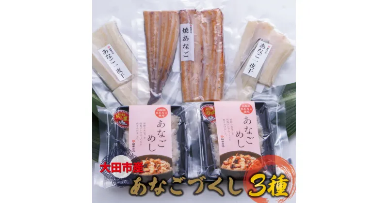 【ふるさと納税】 干物 あなご 2袋 一夜干 焼きアナゴ 120g×1尾 あなごめし 150g×2袋 国産 魚介類 魚 フグ 穴子 天ぷら 唐揚げ 蒲焼き 素焼き 温めるだけ 便利 箱入り 冷凍 真空 特産品 お取り寄せ グルメ 父の日 母の日