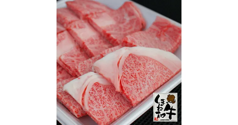 【ふるさと納税】 三瓶の極み 島根和牛A5 焼肉用500g