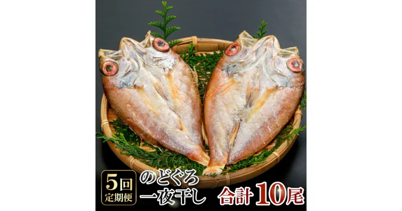 【ふるさと納税】 干物 のどぐろ 101g〜120g×2尾 一夜干 【5回定期便】 毎月お届け 島根県 大田市 人気 魚介類 魚 高級魚 ノドグロ アカムツ 白身魚 トロ 贅沢 冷凍 真空 特産品 お取り寄せ グルメ