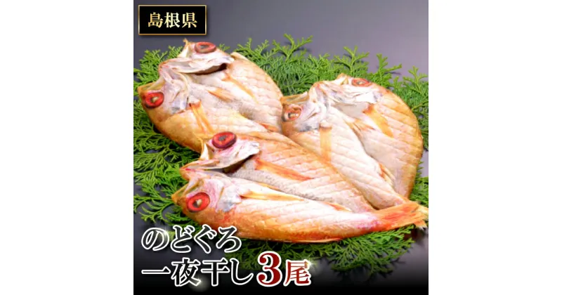 【ふるさと納税】 干物 のどぐろ 121g〜140g×3尾 一夜干 一夜干し 島根県 大田市 人気 魚介類 魚 高級魚 ノドグロ アカムツ 白身魚 トロ 贅沢 冷凍 真空 特産品 お取り寄せ グルメ